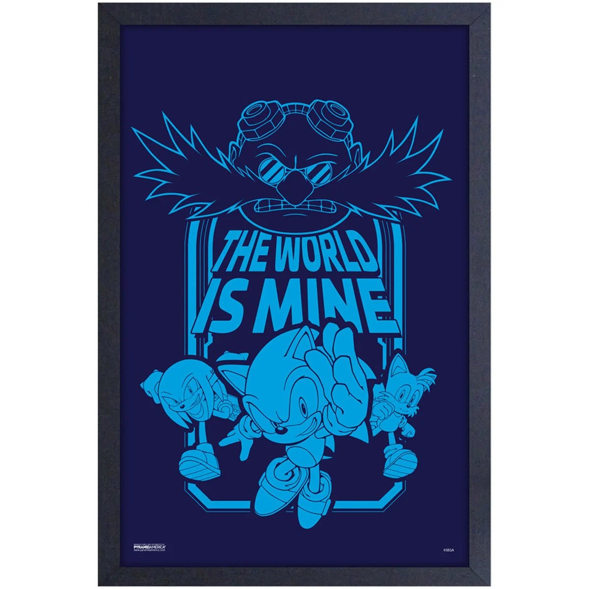 Wall Art| Sonic the Hedgehog - World is Mine (Y7)